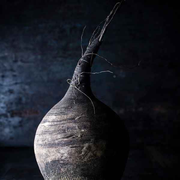 photographe nature morte radis noir