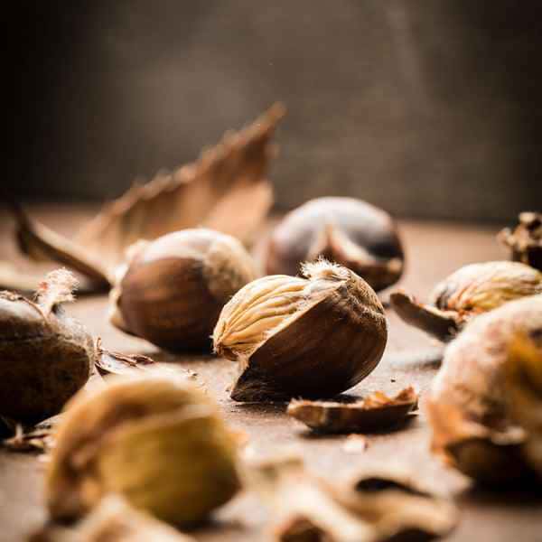 photographe culinaire chataignes marrons