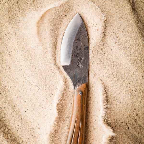 photographe nature morte couteau coutelier bergeronnette