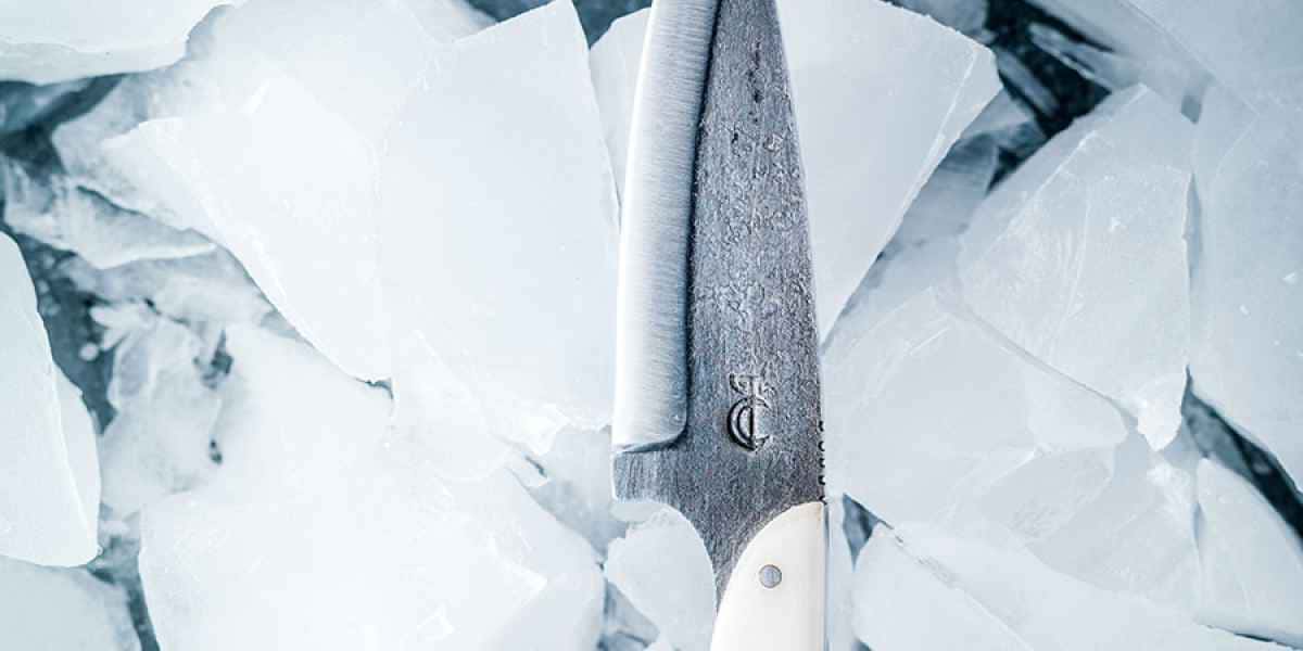 photographe nature morte couteau renard arctique paris 2