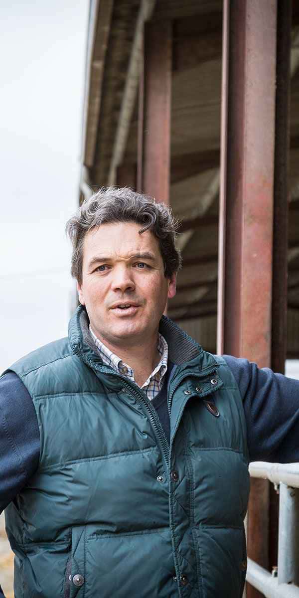 photographe reportage culinaire eleveur vache bovin