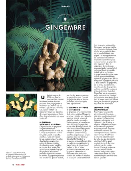 photographe culinaire elle et vire tendance gingembre